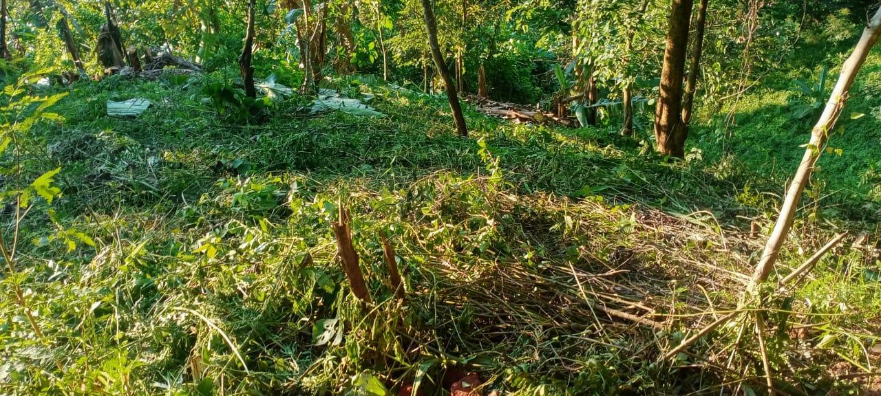 C:\Users\Lavinia Pde\AppData\Local\Microsoft\Windows\INetCache\Content.Word\IMG-20220418-WA0015.jpg